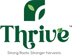 Thrive Roots